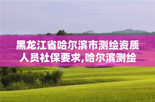 黑龙江省哈尔滨市测绘资质人员社保要求,哈尔滨测绘公司有哪些