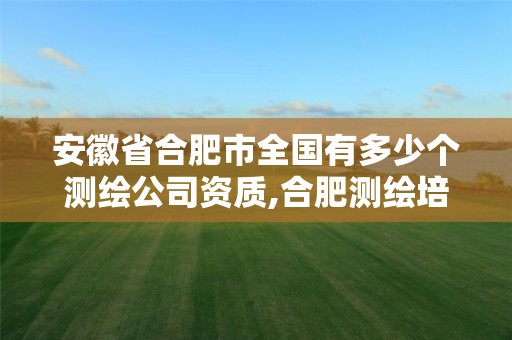 安徽省合肥市全国有多少个测绘公司资质,合肥测绘培训学校。