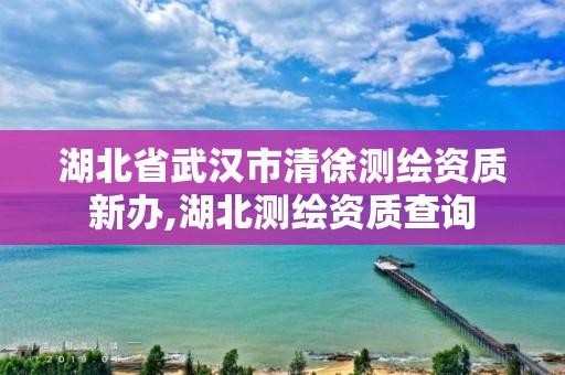 湖北省武汉市清徐测绘资质新办,湖北测绘资质查询