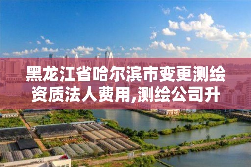 黑龙江省哈尔滨市变更测绘资质法人费用,测绘公司升级资质