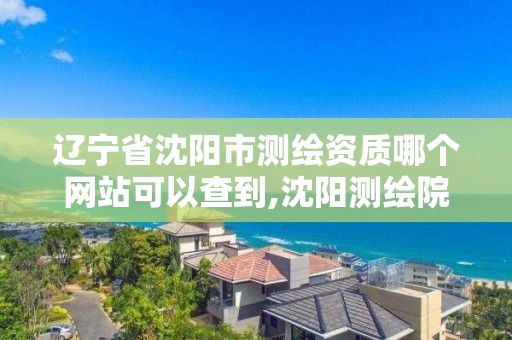 辽宁省沈阳市测绘资质哪个网站可以查到,沈阳测绘院电话。