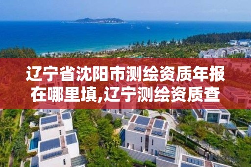 辽宁省沈阳市测绘资质年报在哪里填,辽宁测绘资质查询