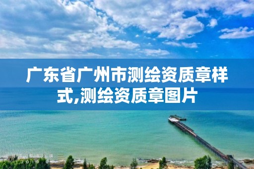 广东省广州市测绘资质章样式,测绘资质章图片