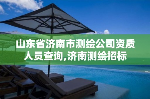 山东省济南市测绘公司资质人员查询,济南测绘招标