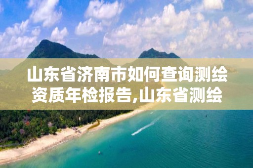 山东省济南市如何查询测绘资质年检报告,山东省测绘资质专用章图片