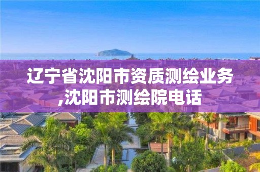 辽宁省沈阳市资质测绘业务,沈阳市测绘院电话