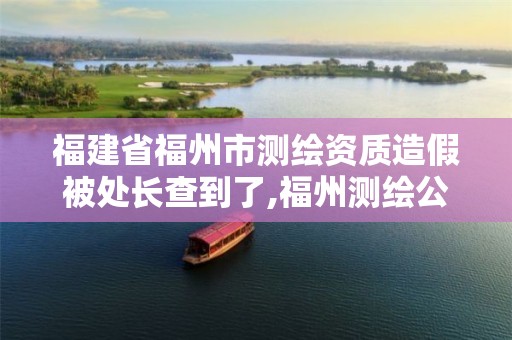 福建省福州市测绘资质造假被处长查到了,福州测绘公司电话