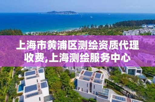 上海市黄浦区测绘资质代理收费,上海测绘服务中心