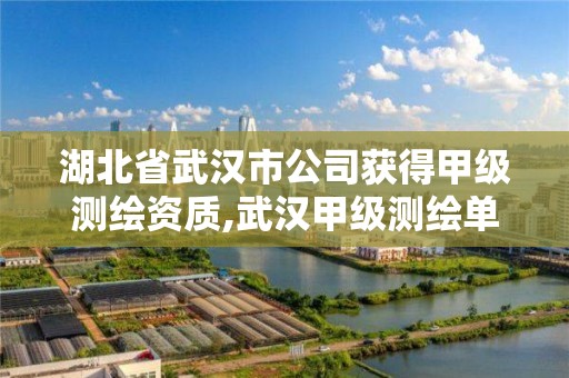 湖北省武汉市公司获得甲级测绘资质,武汉甲级测绘单位