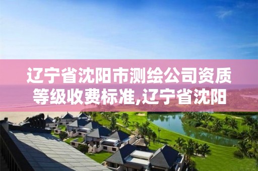 辽宁省沈阳市测绘公司资质等级收费标准,辽宁省沈阳市测绘公司资质等级收费标准是多少。