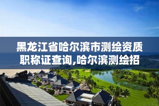 黑龙江省哈尔滨市测绘资质职称证查询,哈尔滨测绘招聘信息