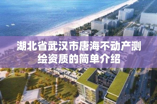 湖北省武汉市唐海不动产测绘资质的简单介绍