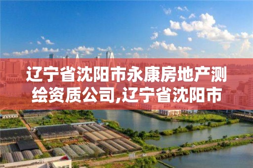 辽宁省沈阳市永康房地产测绘资质公司,辽宁省沈阳市永康房地产测绘资质公司电话。