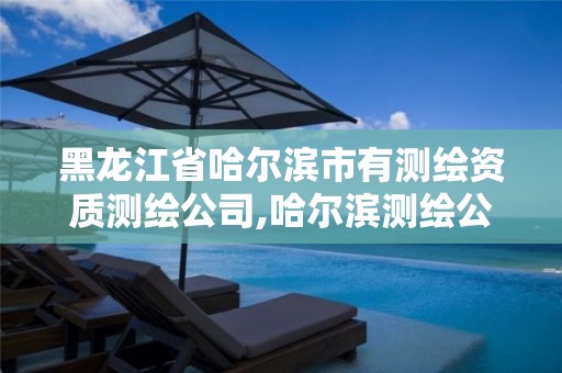 黑龙江省哈尔滨市有测绘资质测绘公司,哈尔滨测绘公司有哪些