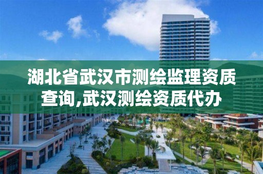 湖北省武汉市测绘监理资质查询,武汉测绘资质代办