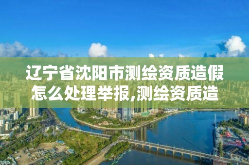 辽宁省沈阳市测绘资质造假怎么处理举报,测绘资质造假在哪里举报