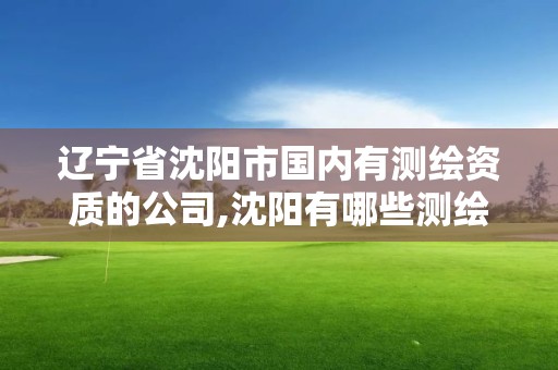 辽宁省沈阳市国内有测绘资质的公司,沈阳有哪些测绘公司招聘