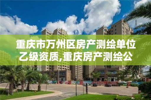 重庆市万州区房产测绘单位乙级资质,重庆房产测绘公司