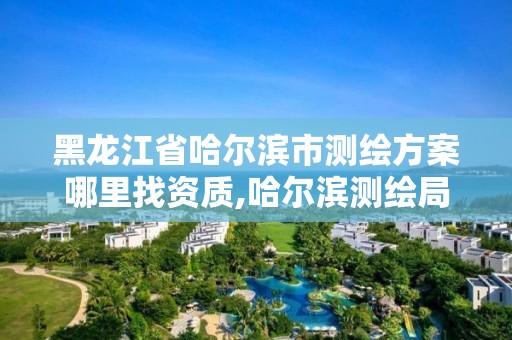 黑龙江省哈尔滨市测绘方案哪里找资质,哈尔滨测绘局是干什么的