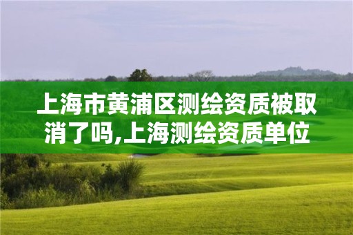 上海市黄浦区测绘资质被取消了吗,上海测绘资质单位