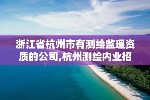 浙江省杭州市有测绘监理资质的公司,杭州测绘内业招聘信息2020