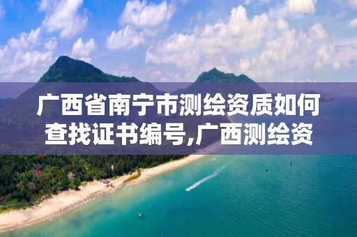 广西省南宁市测绘资质如何查找证书编号,广西测绘资质查询。