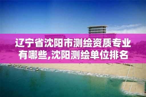 辽宁省沈阳市测绘资质专业有哪些,沈阳测绘单位排名