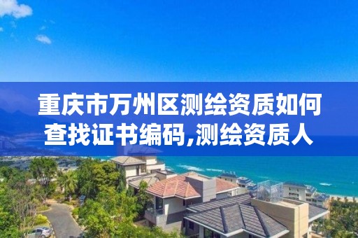 重庆市万州区测绘资质如何查找证书编码,测绘资质人员查询系统