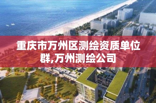 重庆市万州区测绘资质单位群,万州测绘公司