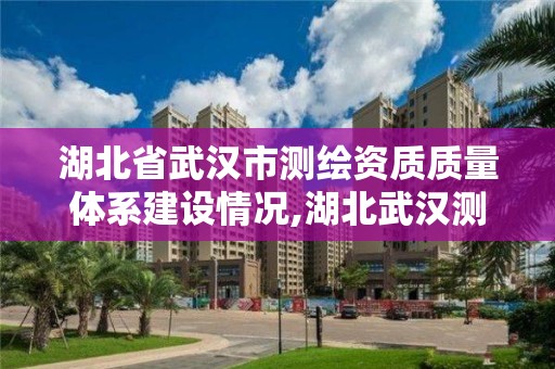 湖北省武汉市测绘资质质量体系建设情况,湖北武汉测绘局。