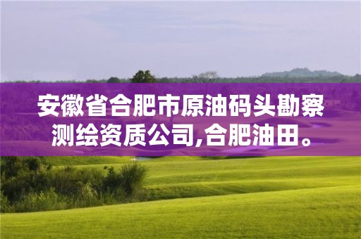 安徽省合肥市原油码头勘察测绘资质公司,合肥油田。