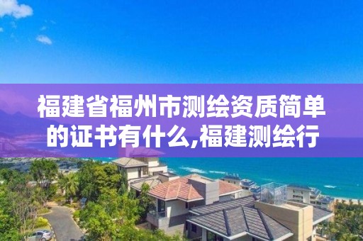 福建省福州市测绘资质简单的证书有什么,福建测绘行业哪个待遇最好