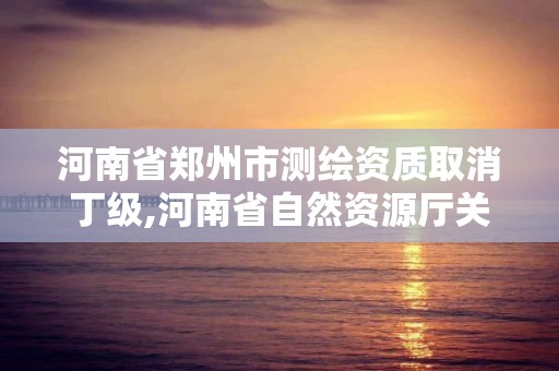 河南省郑州市测绘资质取消丁级,河南省自然资源厅关于延长测绘资质证书有效期的公告