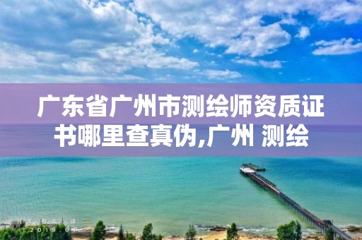 广东省广州市测绘师资质证书哪里查真伪,广州 测绘