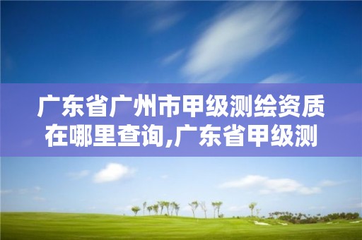 广东省广州市甲级测绘资质在哪里查询,广东省甲级测绘资质单位有多少