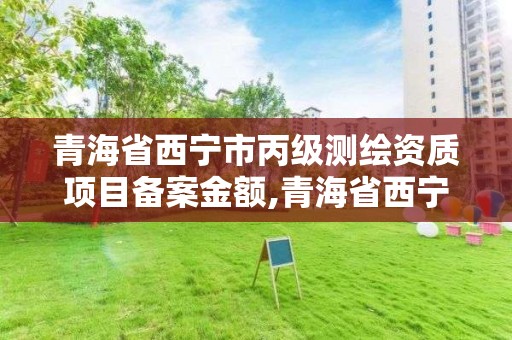 青海省西宁市丙级测绘资质项目备案金额,青海省西宁市丙级测绘资质项目备案金额是多少。