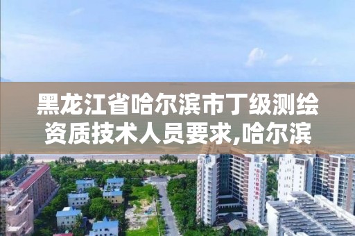 黑龙江省哈尔滨市丁级测绘资质技术人员要求,哈尔滨测绘局工资怎么样。