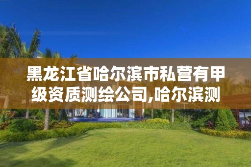 黑龙江省哈尔滨市私营有甲级资质测绘公司,哈尔滨测绘公司招聘。