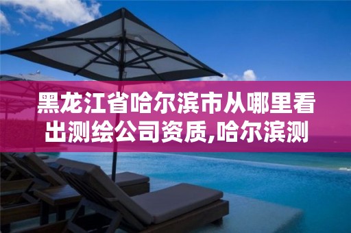 黑龙江省哈尔滨市从哪里看出测绘公司资质,哈尔滨测绘局是干什么的。