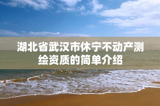 湖北省武汉市休宁不动产测绘资质的简单介绍