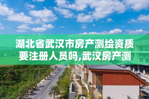 湖北省武汉市房产测绘资质要注册人员吗,武汉房产测绘中心主要做什么。