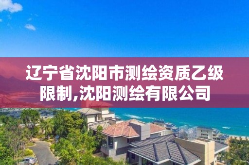 辽宁省沈阳市测绘资质乙级限制,沈阳测绘有限公司