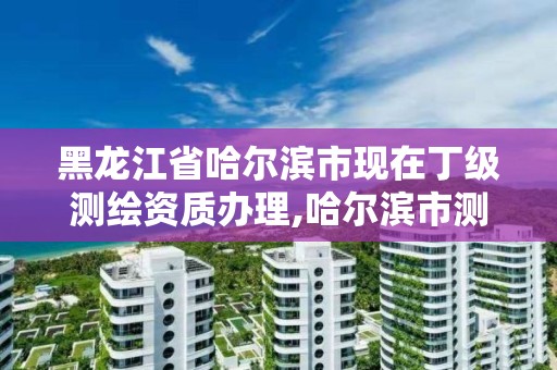 黑龙江省哈尔滨市现在丁级测绘资质办理,哈尔滨市测绘院