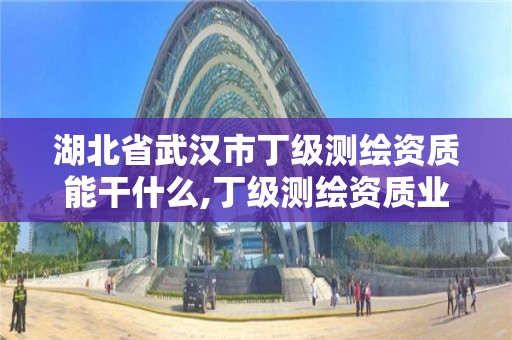 湖北省武汉市丁级测绘资质能干什么,丁级测绘资质业务范围。