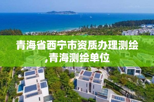 青海省西宁市资质办理测绘,青海测绘单位