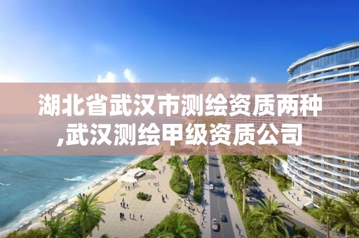 湖北省武汉市测绘资质两种,武汉测绘甲级资质公司