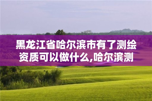 黑龙江省哈尔滨市有了测绘资质可以做什么,哈尔滨测绘地理信息局招聘公告。