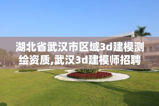 湖北省武汉市区域3d建模测绘资质,武汉3d建模师招聘。