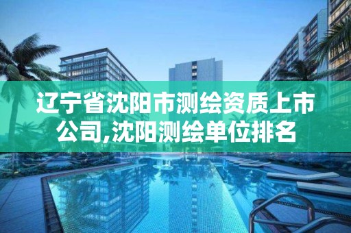 辽宁省沈阳市测绘资质上市公司,沈阳测绘单位排名