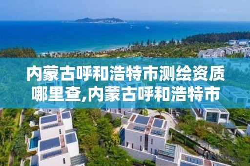 内蒙古呼和浩特市测绘资质哪里查,内蒙古呼和浩特市测绘资质哪里查的到